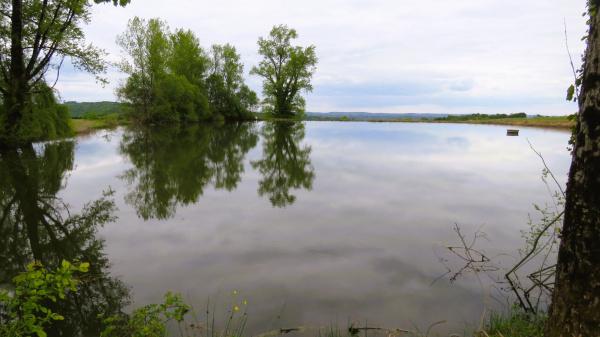 Offres de vente Maison Lanouaille 24270